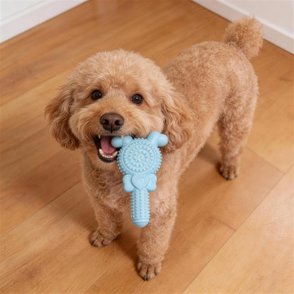 Unkaputtbares Hundespielzeug, TPR Lollipop Spielzeug für den Hund, Geeignet für Hunde, die gerne kauen, Drei Farben