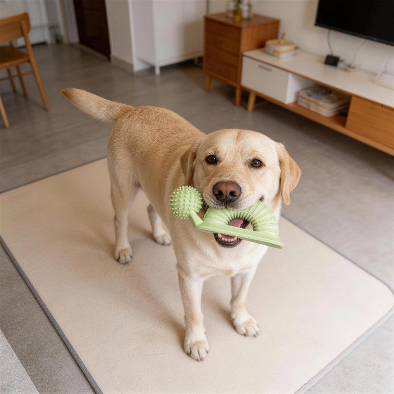 Hund Spielzeug, TPR Weicher Dornen Kauspielzeug für Hunde in Schneckenförmiges, Beißspielzeug für alle Hunde, Drei Farben