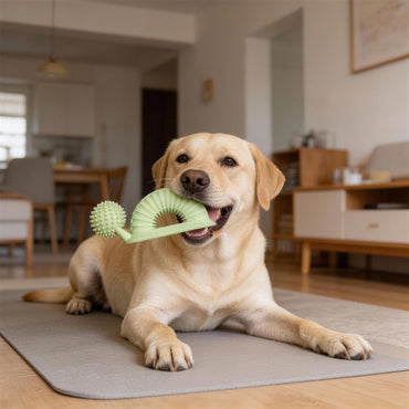 Hund Spielzeug, TPR Weicher Dornen Kauspielzeug für Hunde in Schneckenförmiges, Beißspielzeug für alle Hunde, Drei Farben