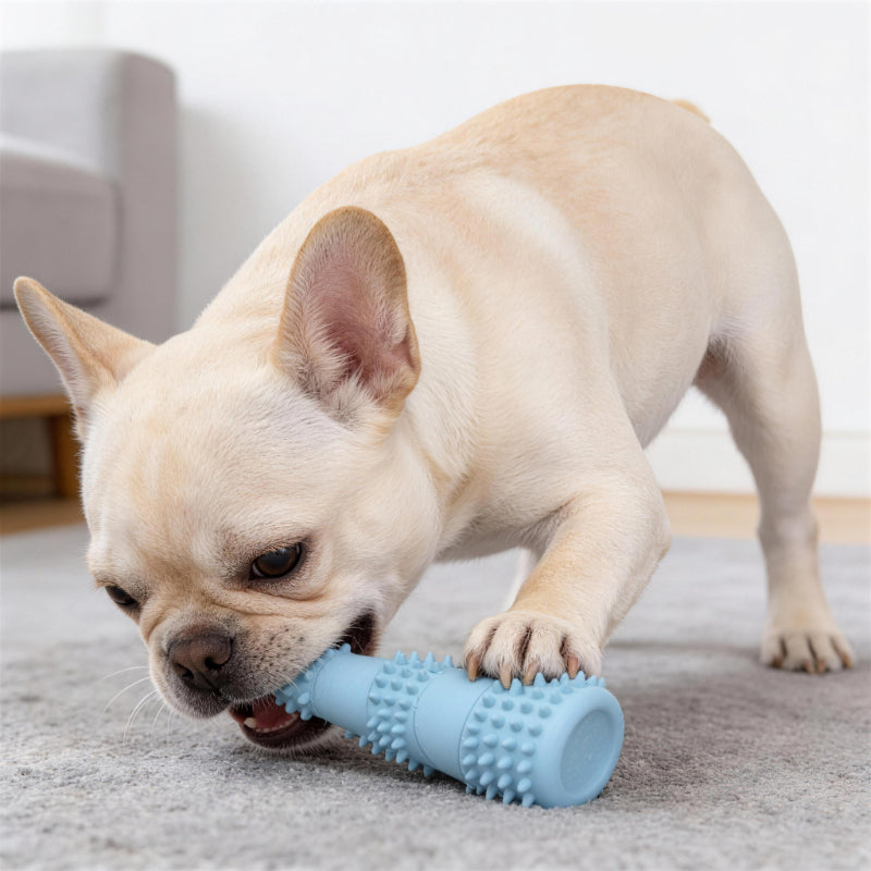 Hundespielzeug Unzerstörbar, TPR-Bambussprossen-Kaustab mit Backenzahn weicher Dorn, Kauspielzeug für Hunde, Drei Farben