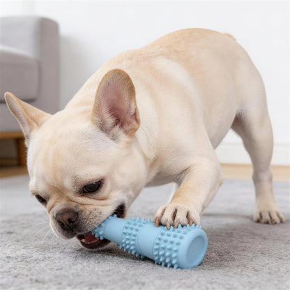 Hundespielzeug Unzerstörbar, TPR-Bambussprossen-Kaustab mit Backenzahn weicher Dorn, Kauspielzeug für Hunde, Drei Farben