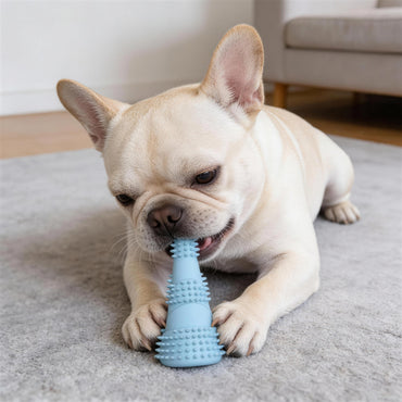 Hundespielzeug Unzerstörbar, TPR-Bambussprossen-Kaustab mit Backenzahn weicher Dorn, Kauspielzeug für Hunde, Drei Farben