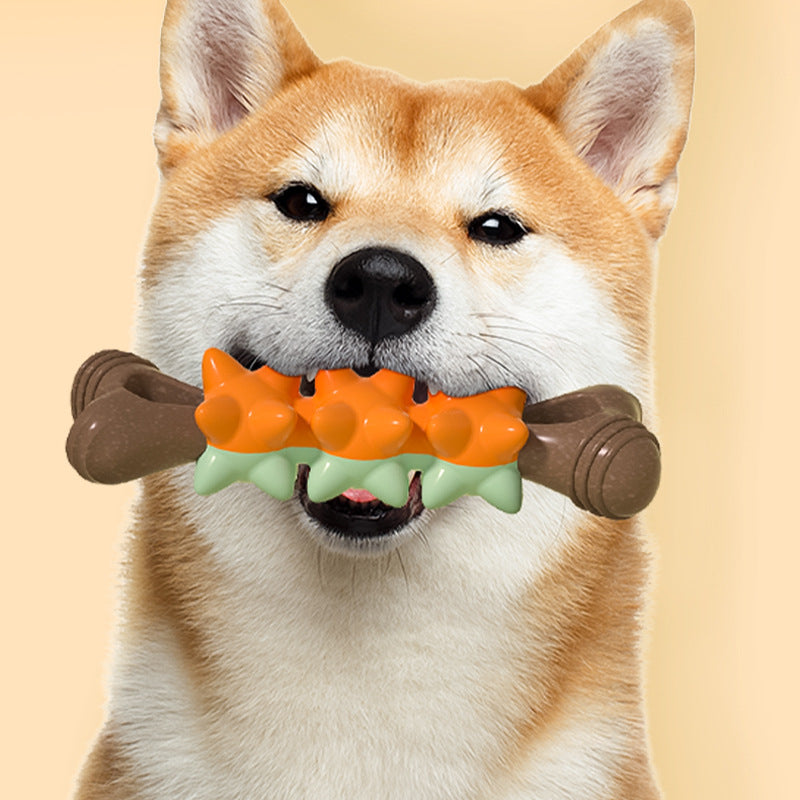 Kauknochen Hund, TRP Meteor-Knochen, PP & Holzfaser, Hundespielzeug Zahnpflege, Begleiten Sie Ihren Hund, Vier Farben