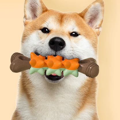 Kauknochen Hund, TRP Meteor-Knochen, PP & Holzfaser, Hundespielzeug Zahnpflege, Begleiten Sie Ihren Hund, Vier Farben