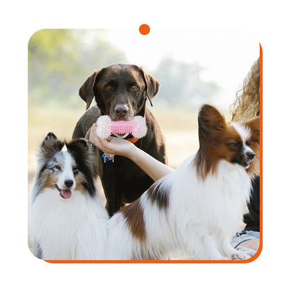Kauknochen Hund, Gummiertes Knochen Kauspielzeug mit Weiche Dornen, für gesunde Zähne & ausgelassene Spielstunden, Rosa