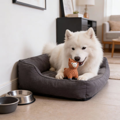 Hund Spielzeug, Alpakaform Spielzeug für Hunde aus Latex, interaktives Kauspielzeug Hund mit Quietscher in Drei Farben