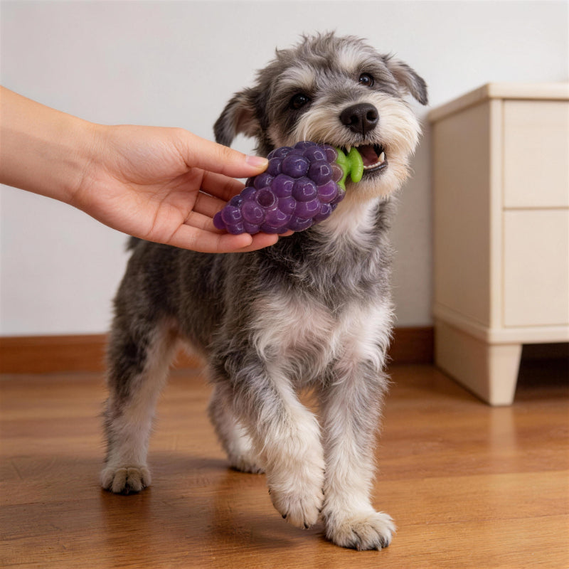 Spielzeug für den Hund, TPR-Interaktives Obstspielzeug, Hundespielzeug Quietschen, Intelligenzspielzeug mit Snackfunktion