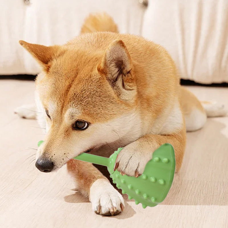 Hundespielzeug, TPR Grün Lotus mit Futteröffnung, interaktives Intelligenzspielzeug für Hunde, Verschleißfest & bissfest