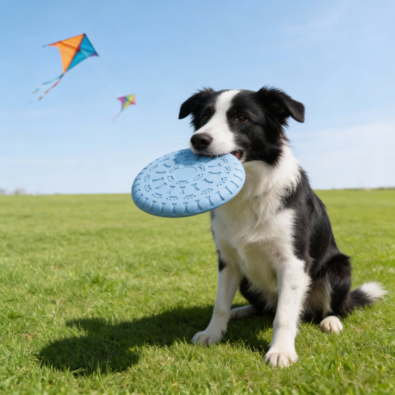 Hund Spielzeug, Hundefrisbee aus weichem TPR-Material, farbenfroher, Multifunktional Wasserspielzeug Hund, Drei Farben