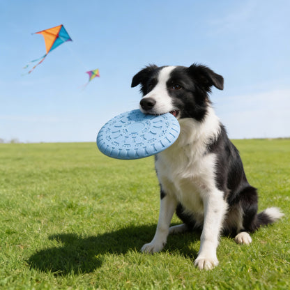 Hund Spielzeug, Hundefrisbee aus weichem TPR-Material, farbenfroher, Multifunktional Wasserspielzeug Hund, Drei Farben