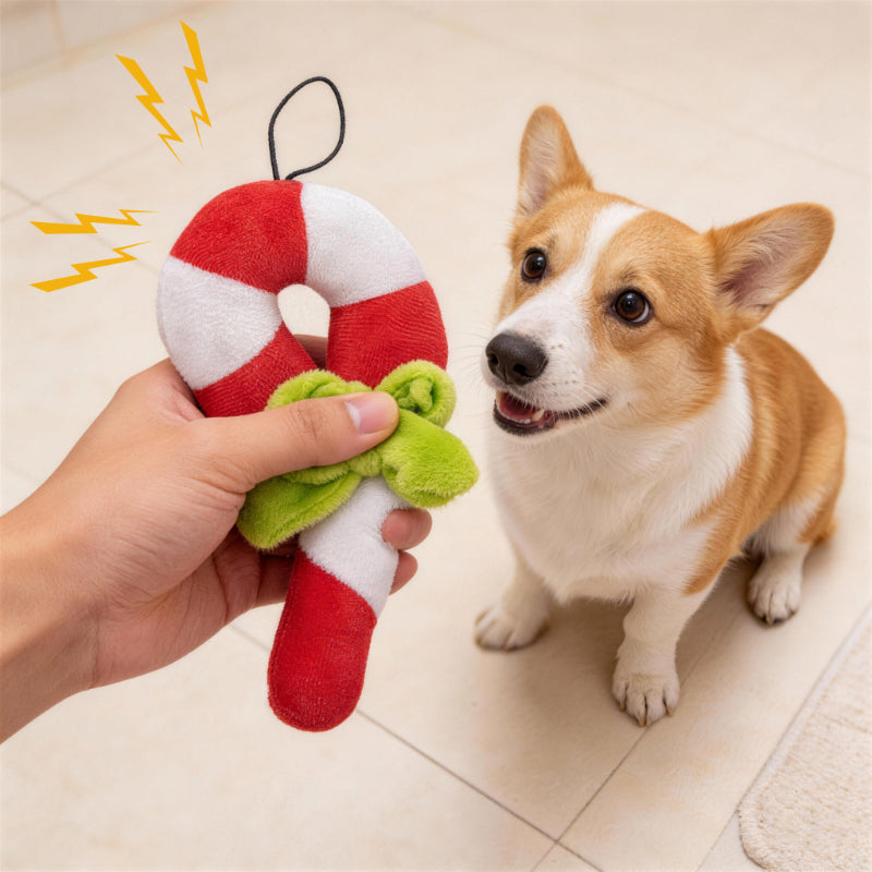 Kuscheltier für den Hund, Weihnachts Zuckerstange Plüschspielzeug mit Aufhängeschnur, Welpenspielzeug Quietschen