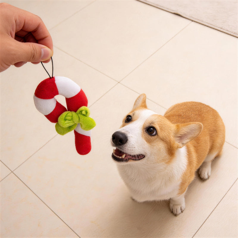 Kuscheltier für den Hund, Weihnachts Zuckerstange Plüschspielzeug mit Aufhängeschnur, Welpenspielzeug Quietschen