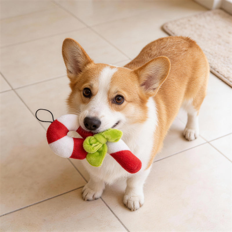 Kuscheltier für den Hund, Weihnachts Zuckerstange Plüschspielzeug mit Aufhängeschnur, Welpenspielzeug Quietschen