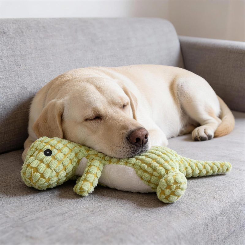 Kuscheltier für den Hund, Plüsch Dinosaurier in Orange, Kaffee und Grün, Quietschspielzeug für jede Hunderasse (1 Stück)