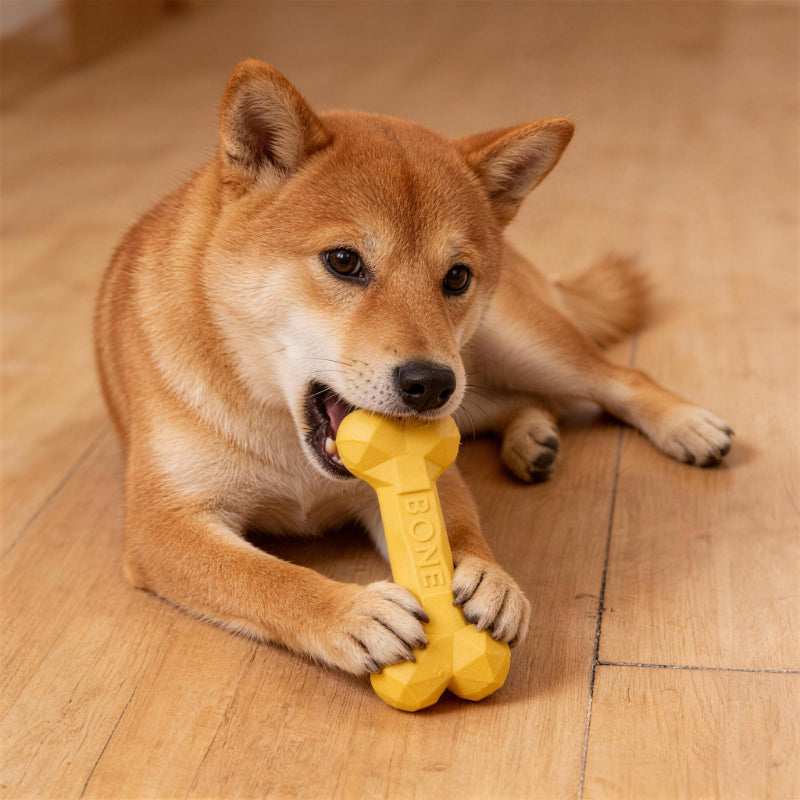 Kauknochen Hund, Knochenförmiges Gummi mit Diamantförmiger Textur, Kauspielzeug für Hunde, drei Farben & Größen