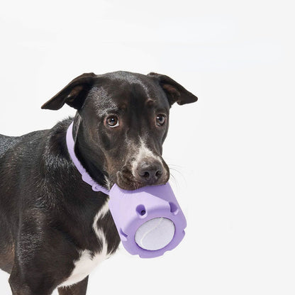 Hunde Intelligenzspielzeug, Lila Tennispokal mit Hundeball, Beschäftigungsspielzeug für Hunde zum Spielen & Lernen