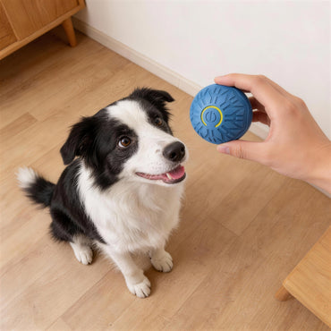 Spielzeug für den Hund, intelligenter Hundeball aus Gummi, unregelmäßiger Bewegung, Lange Spielzeiten für Hunde, Zwei Farben