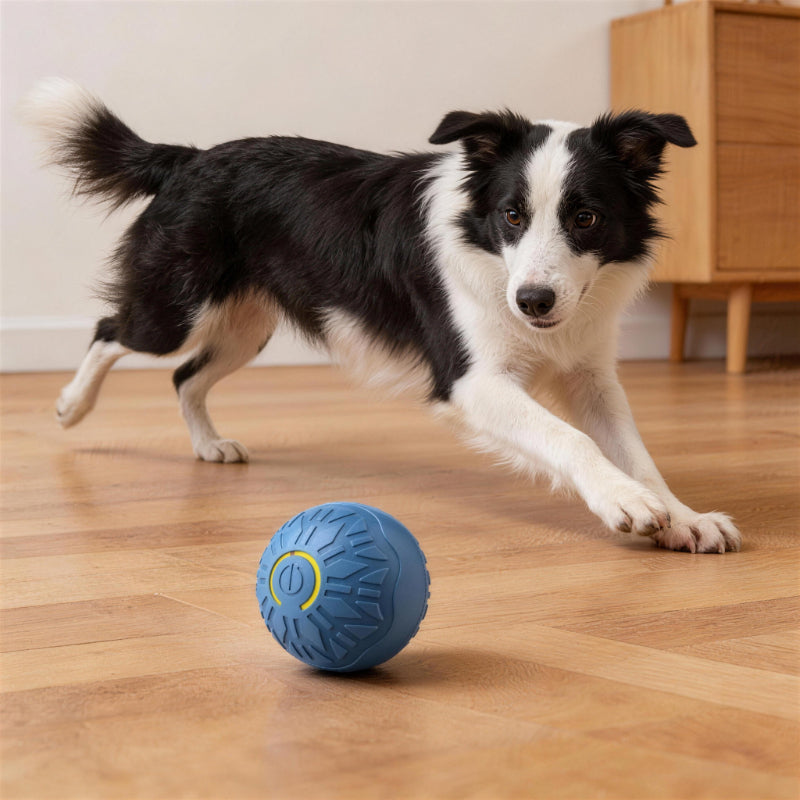 Spielzeug für den Hund, intelligenter Hundeball aus Gummi, unregelmäßiger Bewegung, Lange Spielzeiten für Hunde, Zwei Farben