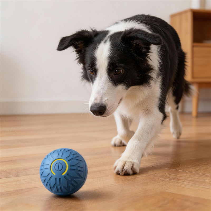 Spielzeug für den Hund, intelligenter Hundeball aus Gummi, unregelmäßiger Bewegung, Lange Spielzeiten für Hunde, Zwei Farben