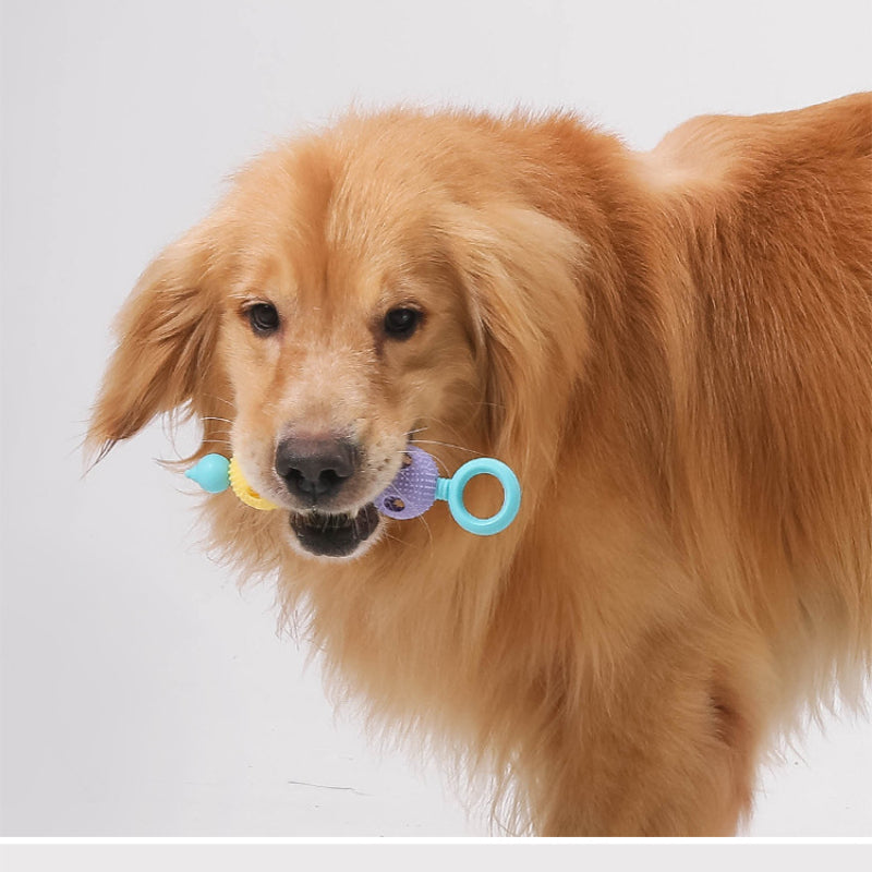 Hundespielzeug Unkaputtbar, TRP Drei-Ball Kauspielzeug für Spaß, Interaktives Spielzeug für Alle Hunde, Drei Farben