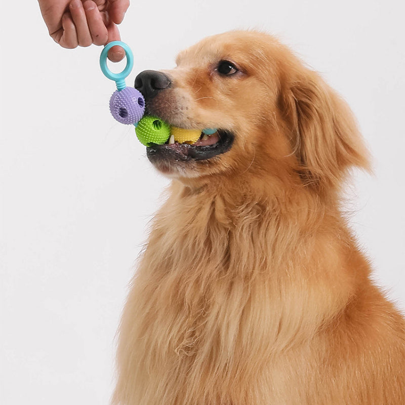 Hundespielzeug Unkaputtbar, TRP Drei-Ball Kauspielzeug für Spaß, Interaktives Spielzeug für Alle Hunde, Drei Farben
