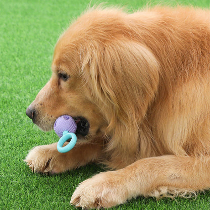 Hundespielzeug Unkaputtbar, TPR Drei-Ball Kauspielzeug für Spaß, Interaktives Spielzeug für Alle Hunde, Drei Farben