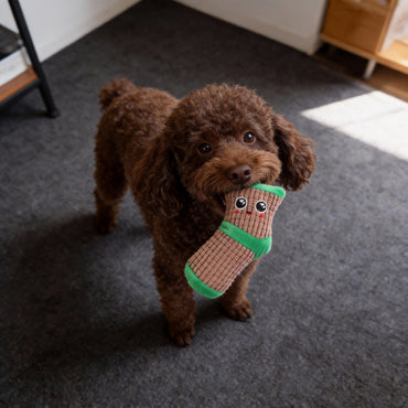 Kuscheltier für Hunde, Braune Socken mit Quietscher & Cartoon Gesichtern, Interaktives Spielzeug für Kleine und Mittlere Hunde