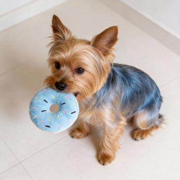 Hund Kuscheltiere, Plüsch Donut für kleine Hunde in Blau und Braun, 11 cm Durchmesser, mit Quietscher für hohe Spielanreize