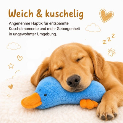 Kuscheltiere für Hunde DT100-04-4