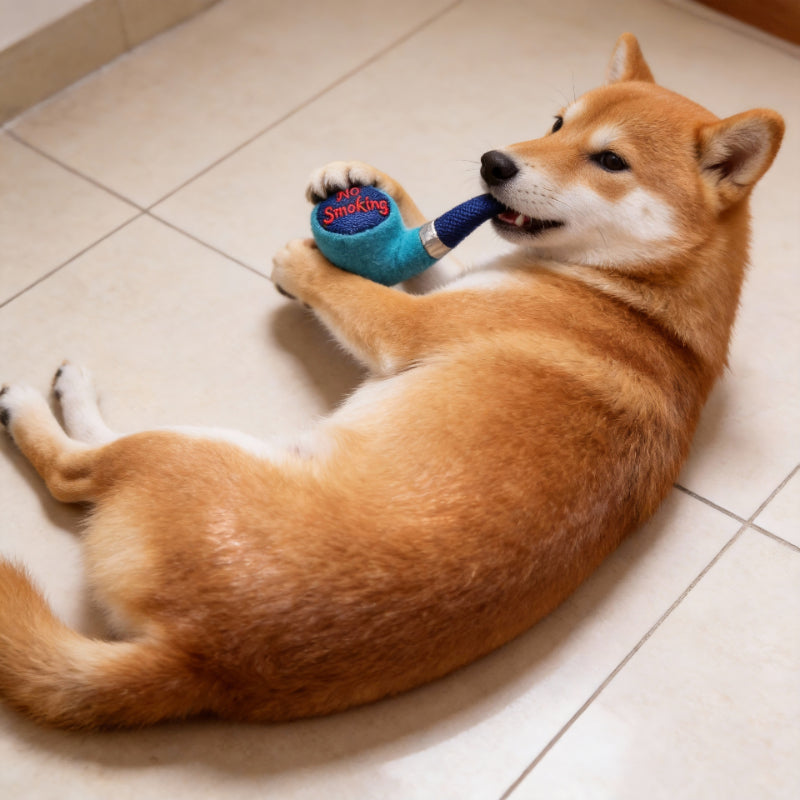 Kuscheltier für den Hund, Plüsch Tabakpfeife mit Quietscher, Hundespielzeug in Drei Farben für Interaktive Spiele