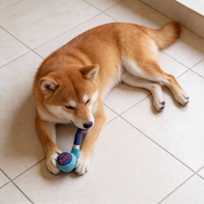 Kuscheltier für den Hund, Plüsch Tabakpfeife mit Quietscher, Hundespielzeug in Drei Farben für Interaktive Spiele