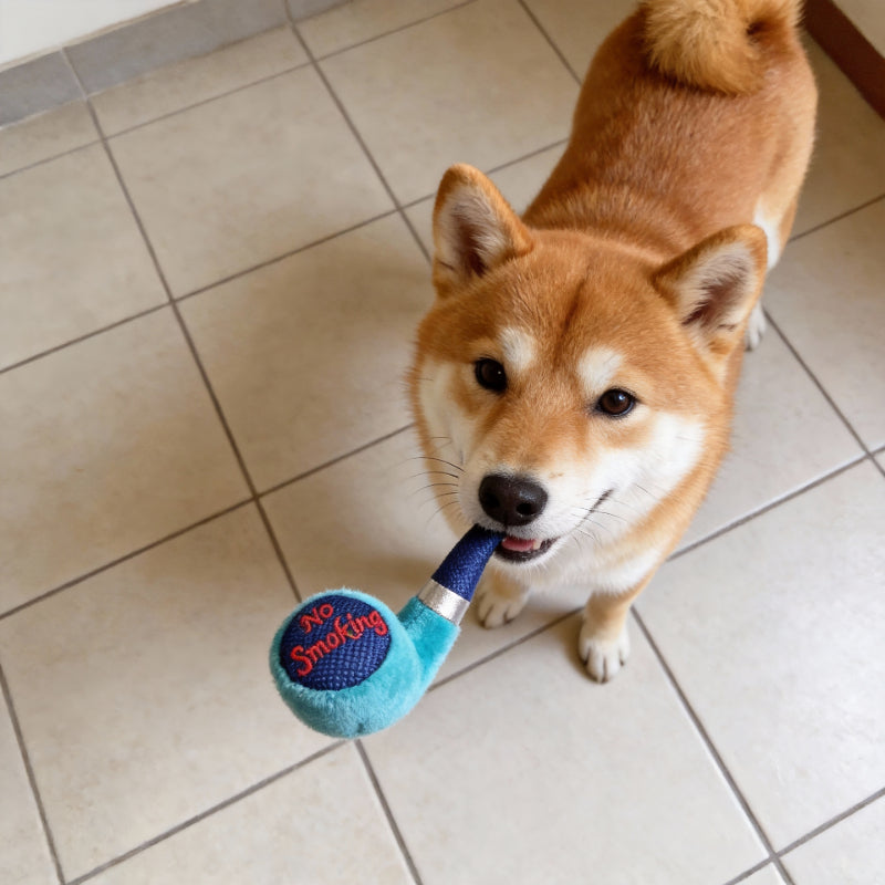 Kuscheltier für den Hund, Plüsch Tabakpfeife mit Quietscher, Hundespielzeug in Drei Farben für Interaktive Spiele