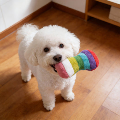 Kuscheltier für den Hund, Buntes Plüsch Knochen mit Quietscher, Kuscheliger Freund für Ihren Hund, 2 Stile
