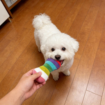 Kuscheltier für den Hund, Buntes Plüsch Knochen mit Quietscher, Kuscheliger Freund für Ihren Hund, 2 Stile