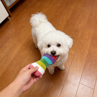 Kuscheltier für den Hund, Buntes Plüsch Knochen mit Quietscher, Kuscheliger Freund für Ihren Hund, 2 Stile