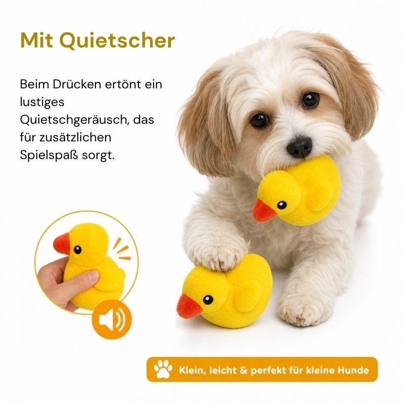 Kuscheltier für Hunde, Kleines Gelbes Entchen, Welpenspielzeug mit Quietscher, Perfekt Beruhigungsspielzeug