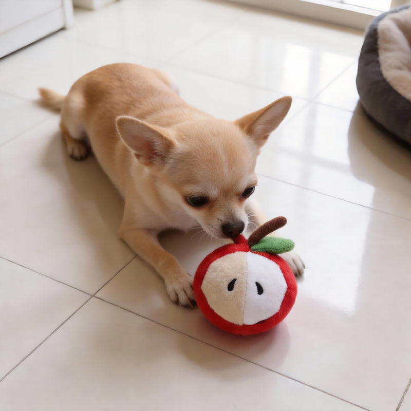 Hund Kuscheltiere, Plüsch Halbierte Apfel-Design, Kauspielzeug für Welpen mit Quietscher, Durchmesser 8 cm, 2er Pack