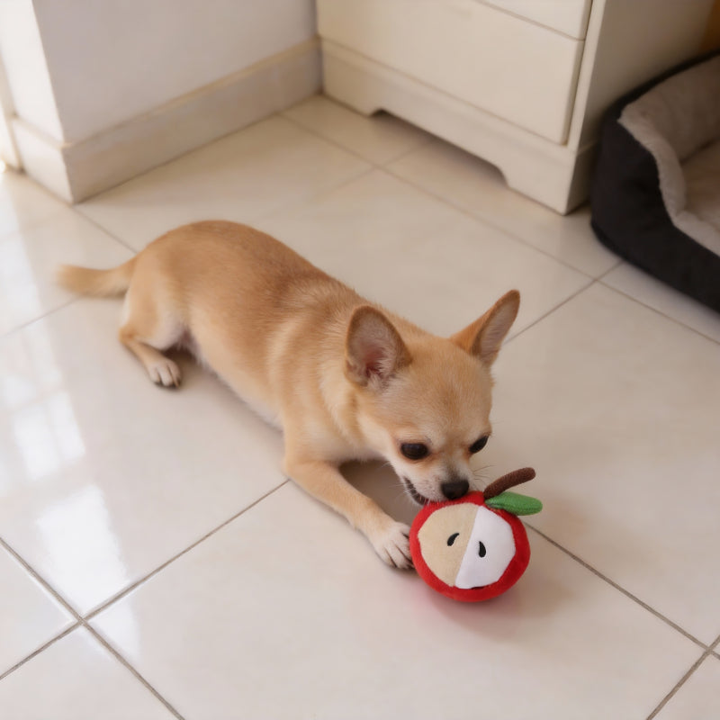Hund Kuscheltiere, Plüsch Halbierte Apfel-Design, Kauspielzeug für Welpen mit Quietscher, Durchmesser 8 cm, 2er Pack