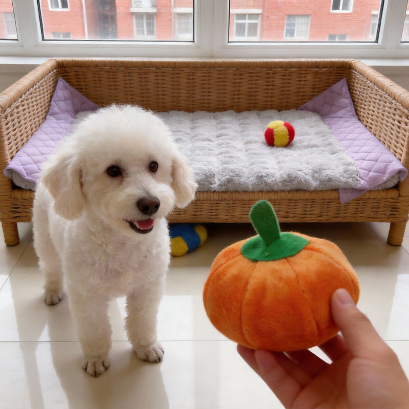 Kuscheltiere für Hunde, Orange Kürbis, Kuscheltier für Welpen mit Quietscher, Einzeln oder im 3er Set