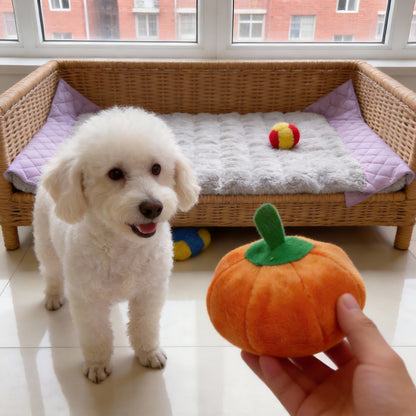 Kuscheltiere für Hunde, Orange Kürbis, Kuscheltier für Welpen mit Quietscher, Einzeln oder im 3er Set