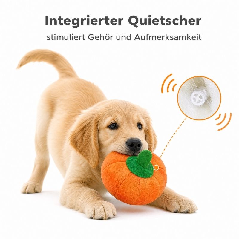 Kuscheltiere für Hunde DT100-09-10