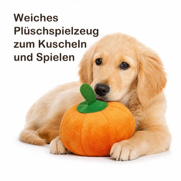Kuscheltiere für Hunde DT100-09-9