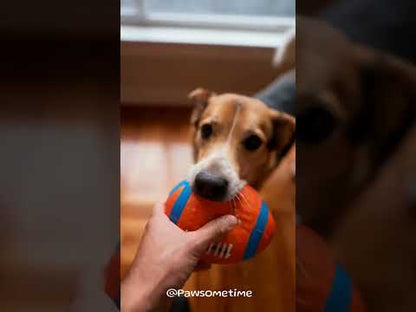 Quietschender Hundeball, Flexibel & Elastisch, viele Stile zur Auswahl