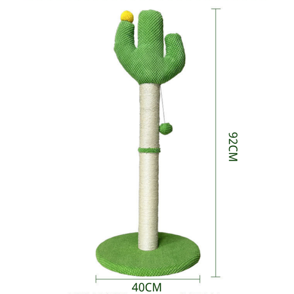 CSP006 01