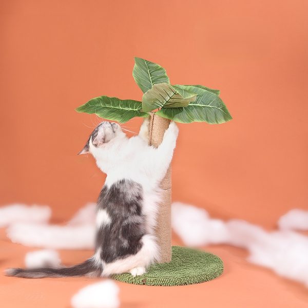 Schmaler Kratzbaum mit Ballspielzeug, Kokosnusspalmen-Form, Hochwertiger Sisalstamm für kleine Katzen – Bild 3