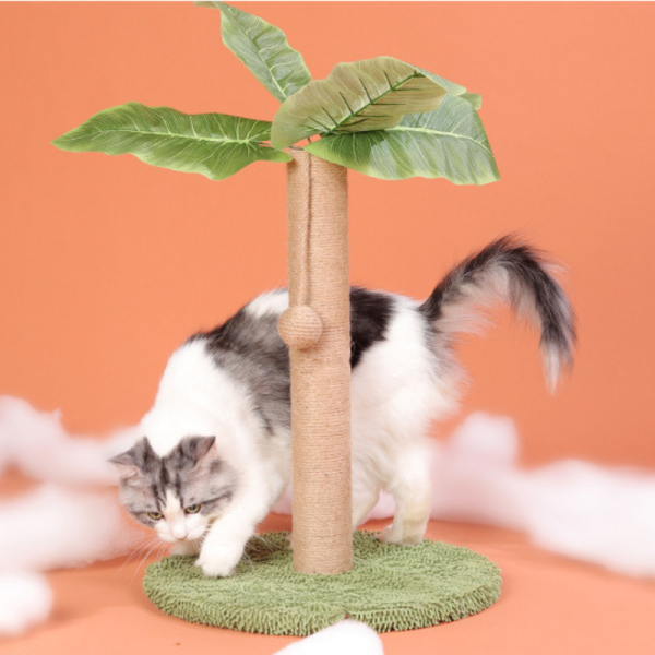Schmaler Kratzbaum mit Ballspielzeug, Kokosnusspalmen-Form, Hochwertiger Sisalstamm für kleine Katzen – Bild 4