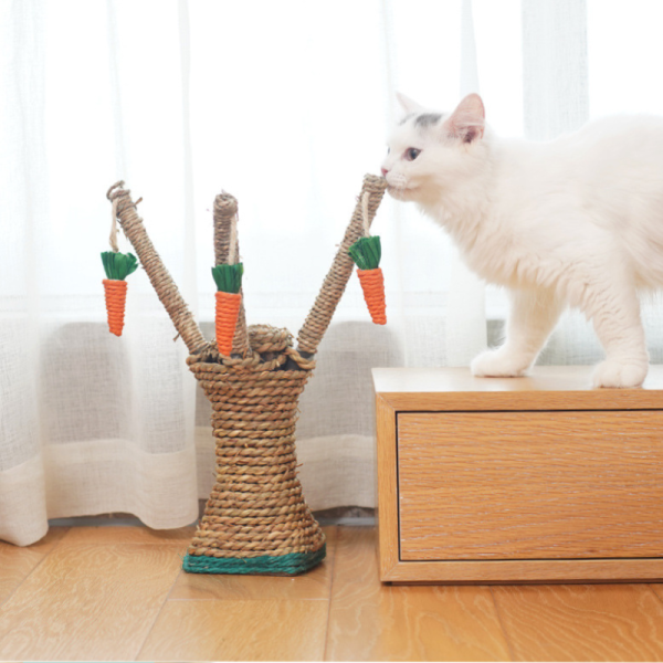 Kleine Kratzbaum, Baumstamm Kratzsäule für Katzen,  Kratzspielzeug für Katzen im Innenbereich, Naturfreundliches Material – Bild 6