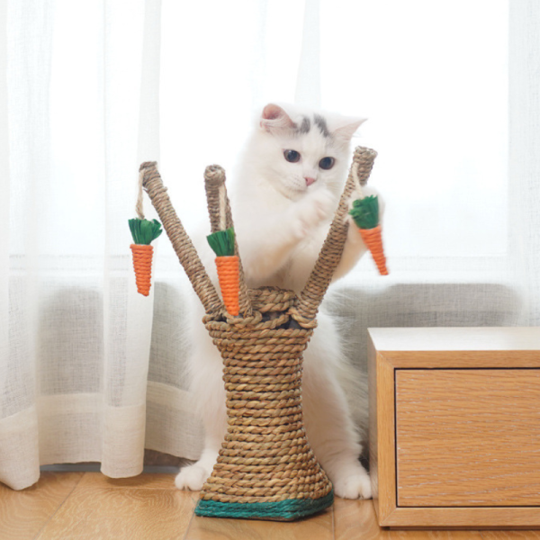 Kleine Kratzbaum, Baumstamm Kratzsäule für Katzen,  Kratzspielzeug für Katzen im Innenbereich, Naturfreundliches Material – Bild 5