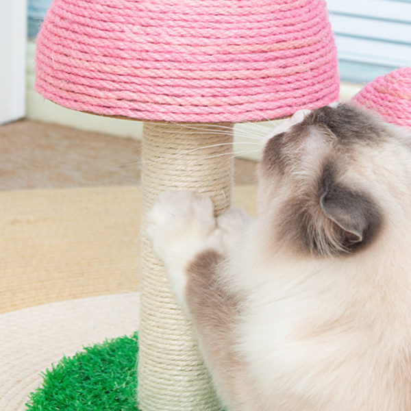 Pawsometime Kratzbaum Kitten, Doppelte Pilz-Kratzsäule mit Dickem Sisal, Bequem und Strapazierfähig, Rosa – Bild 4