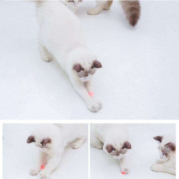 Katzenspielzeug Laserpointer für Katzen interaktive Unterhaltung, zufällige Farben, 2 Modi (Laser und LED), Spaß und Bewegung – Bild 2